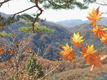 存款特種兵年末再現(xiàn)江湖，一場(chǎng)關(guān)于財(cái)富積累與人生價(jià)值的角逐